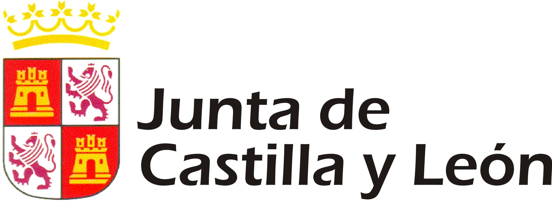 SPORTCITIES__PROMOTORES INSTITUCIONALES_10_Junta de Castilla y Leon